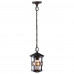 Подвесной светильник Arte Lamp Persia 1 A1455SO-1BK