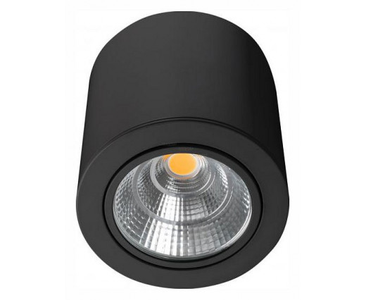 Накладной светильник Arlight SP-FOCUS-R140-30W Day4000 (BK, 24 deg, 230V) 029537