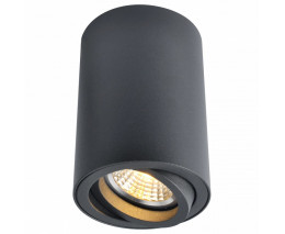 Накладной светильник Arte Lamp 1560 A1560PL-1BK