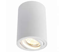 Накладной светильник Arte Lamp 1560 A1560PL-1WH