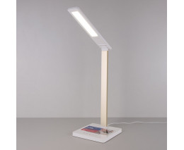 Настольная лампа офисная Elektrostandard TL90510 a039562