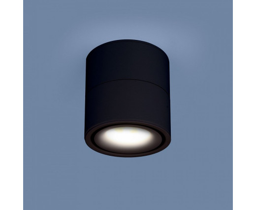 Накладной светильник Elektrostandard DLR031 a040962