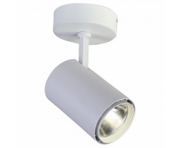 Настенный уличный светильник Favourite Projector 1773-1U