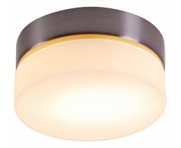 Потолочный светильник Globo Opal 48400