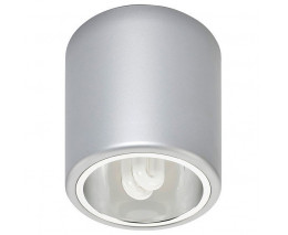 Накладной светильник Nowodvorski Downlight Silver 4868