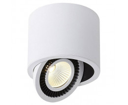 Накладной светильник Donolux DL18700 DL18700/11WW-White Dim