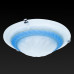 Настенно-потолочный светильник TopLight Clare TL9101Y-02BL