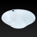 Настенно-потолочный светильник TopLight Clare TL9101Y-02TR