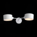 Настенный светильник EVOLUCE Gimento SLE183501-02